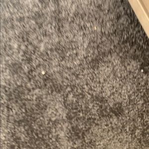 Meet your Posher, Bella